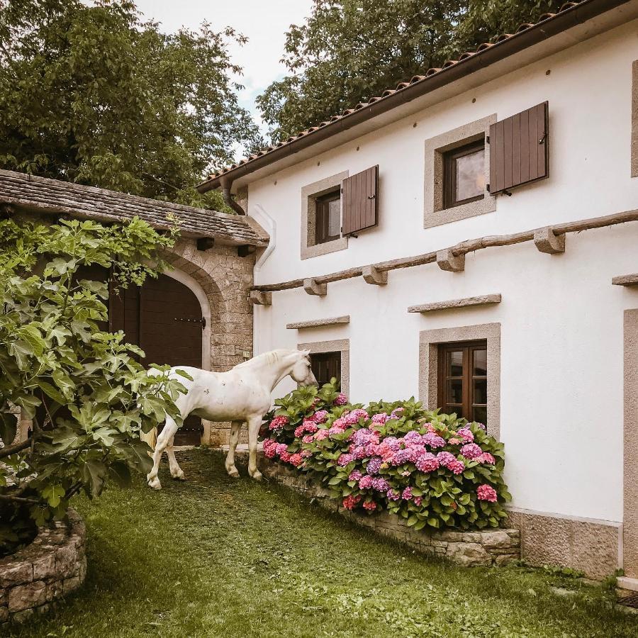 Tmbin'S Barn - Nature, Horses, Family Sežana Exterior foto